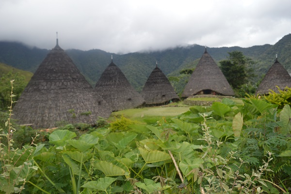 Wae Rebo traditional village on Flores island